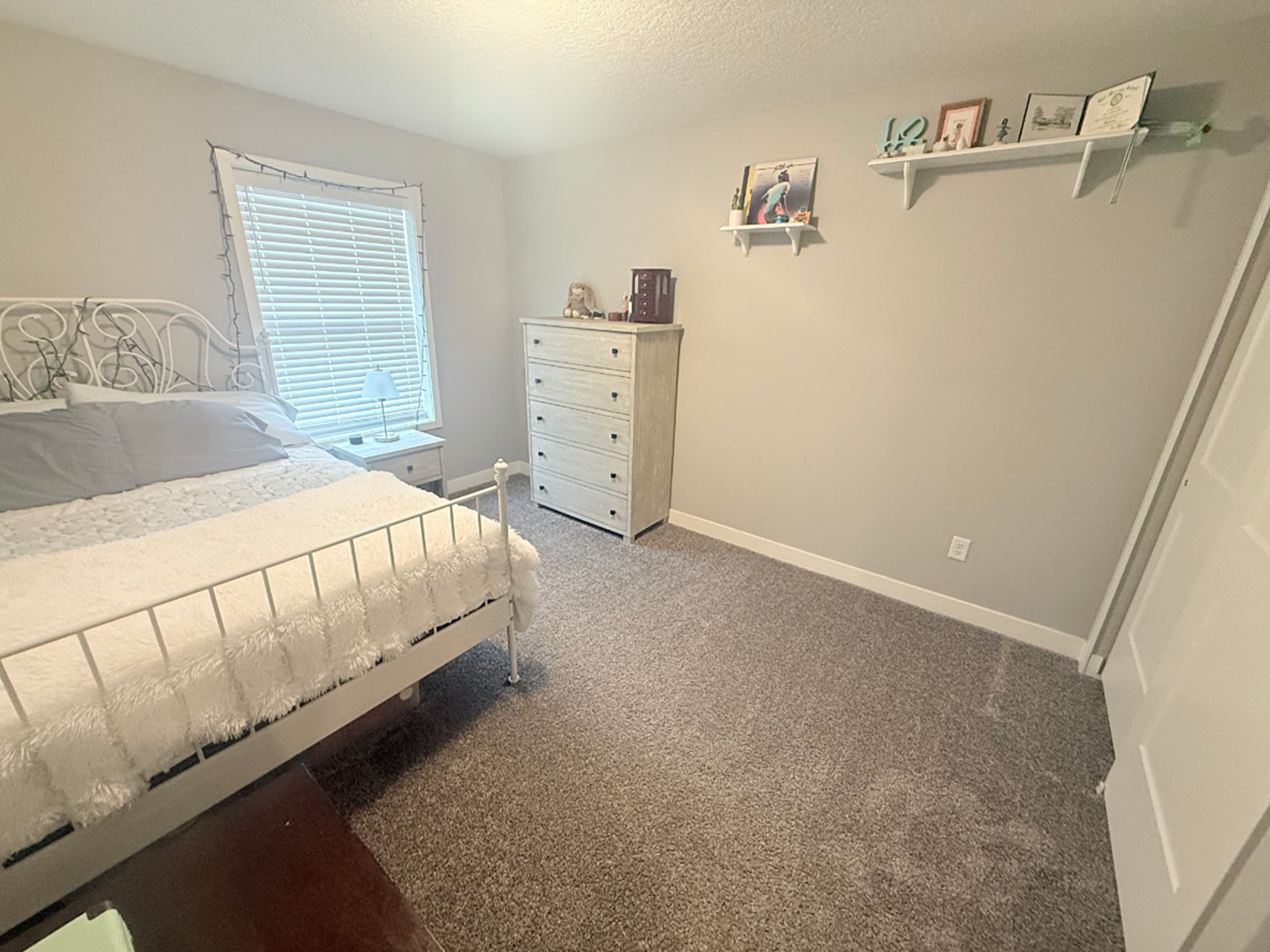 7238 Dora Drive Hugo, MN 55038 - Photo 19 of 36