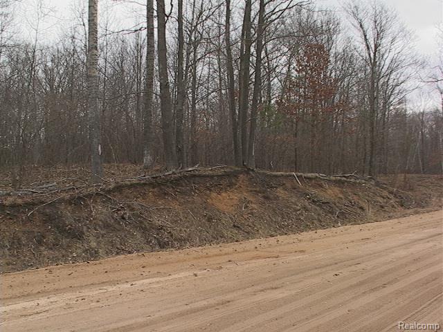 0 Eastman Road Rhodes, MI 48652 - Photo 2 of 16 Looking Into The Land From Eastman Rd.
