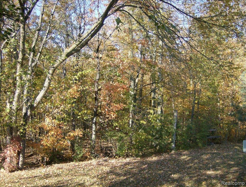 45818 Cider Mill Road Novi, MI 48374 - Photo 14 of 14 view of woods/nature
