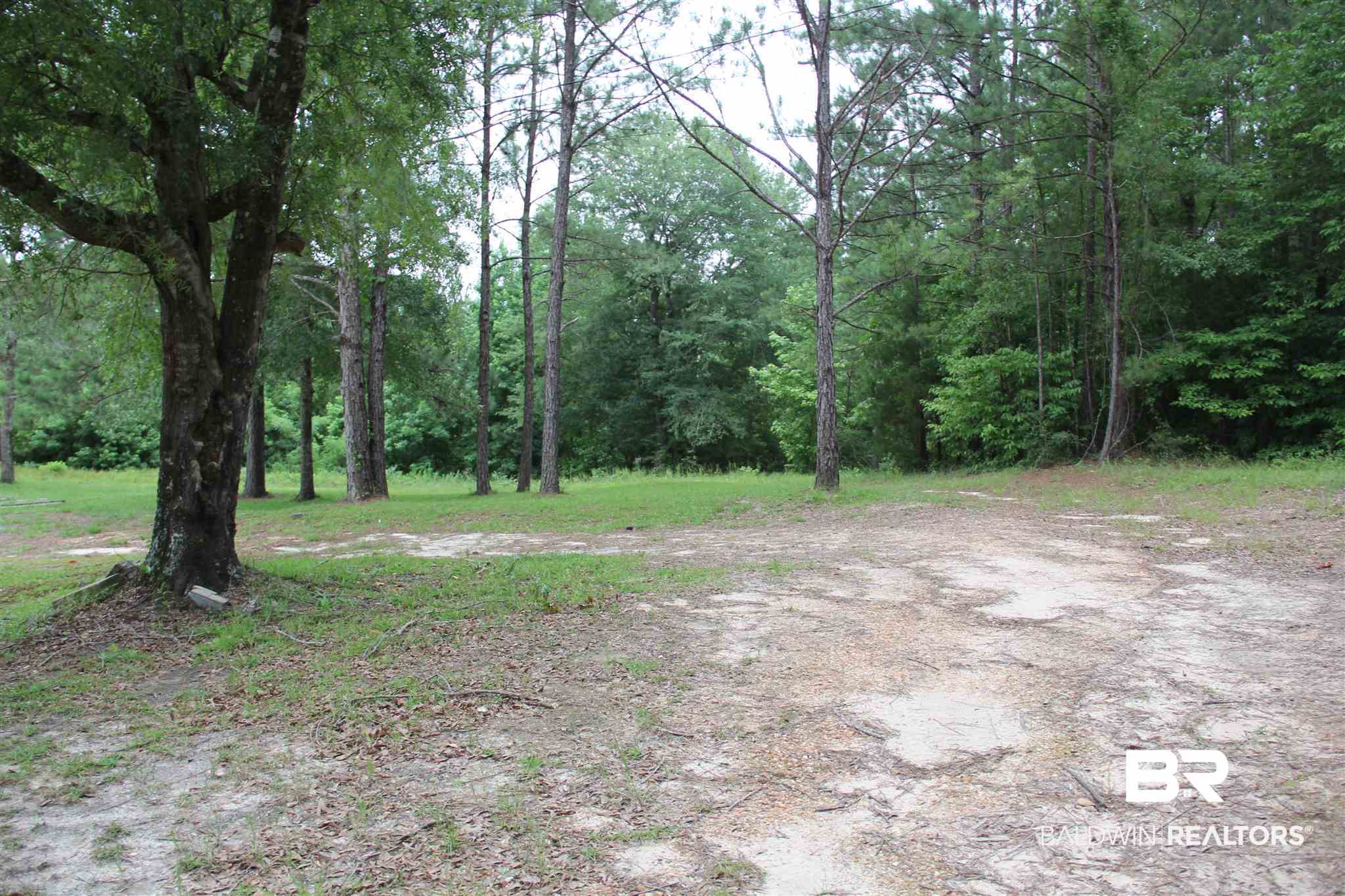 5690 Drewry Road Monroeville, AL 36460 - Photo 3 of 21