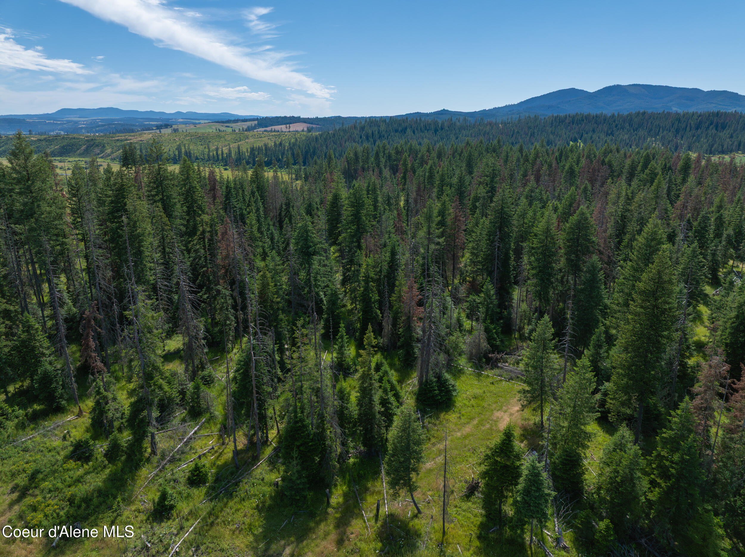 6 Harvard Id 83834 Harvard, ID 83834 - Photo 18 of 32 Cow Creek Tweedy (22 of 29)