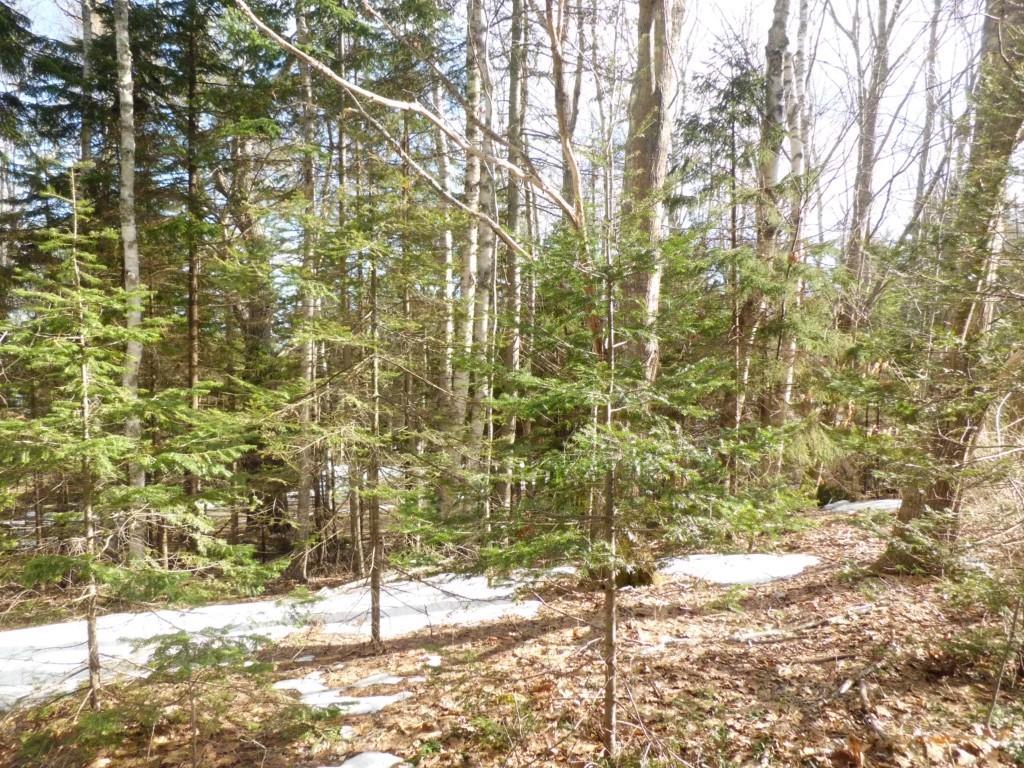 0 North No Fork Road Harpswell, ME 04079 - Photo 2 of 12 Photo