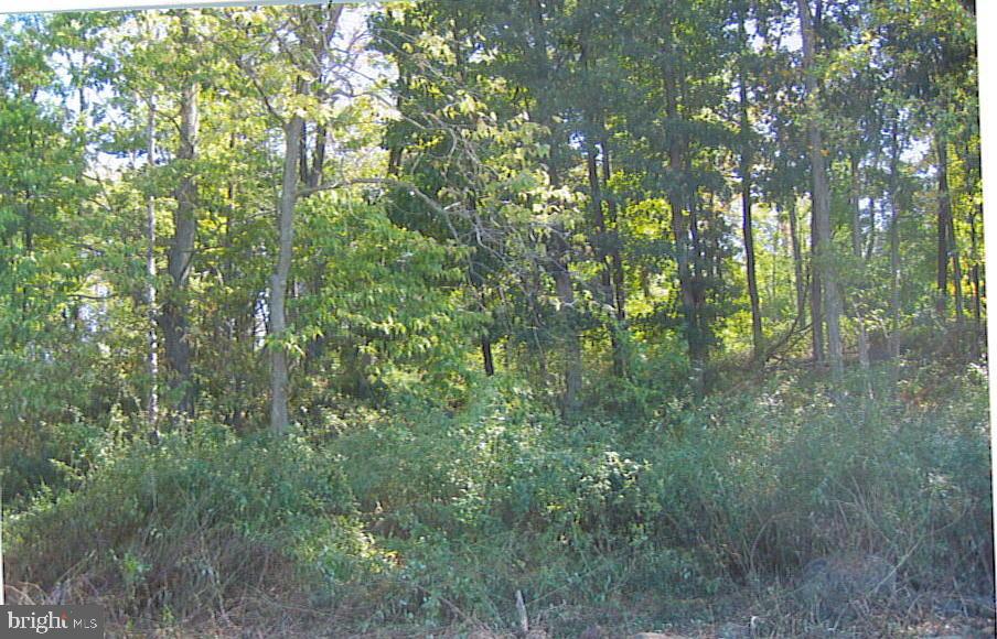Lot 4 Mill Road, Unit 4 Elizabethtown, PA 17022 - Photo 1 of 1 Gallery Image 1