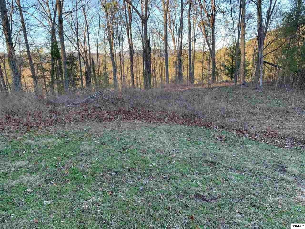 66 Whetstone Road Sevierville, TN 37863 - Photo 3 of 6