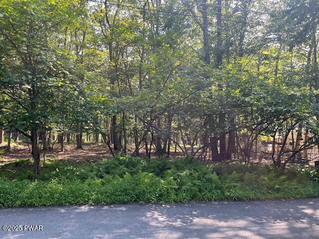 Lot 34 Walnut Road Dingmans Ferry, PA 18328 - Photo 2 of 9