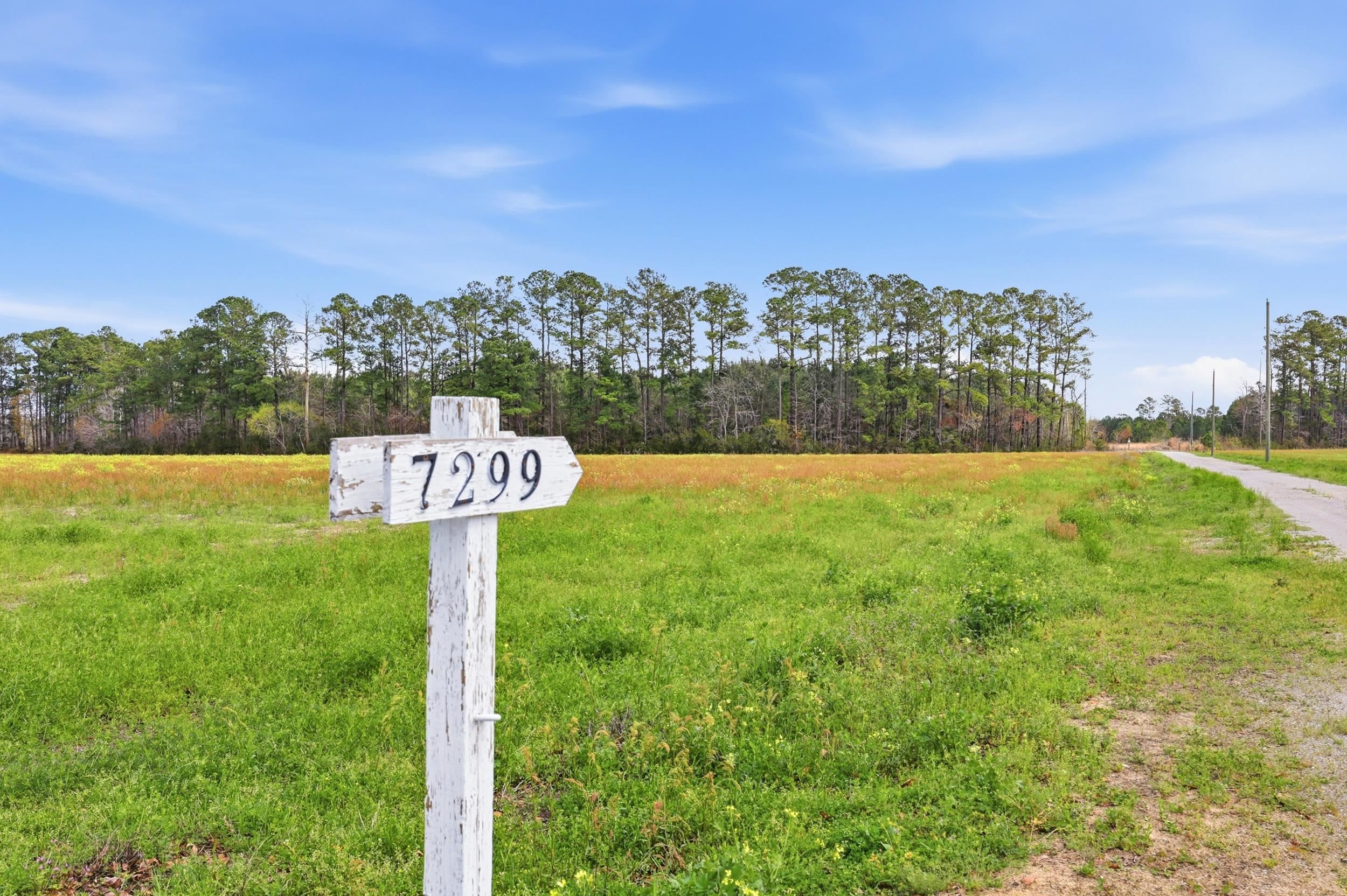 7299 Cartrette Road Aynor, SC 29511 - Photo 2 of 9