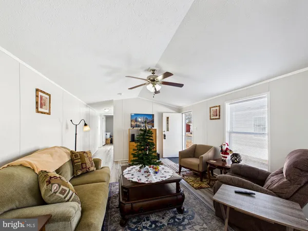 a living room with furniture or couch and a window