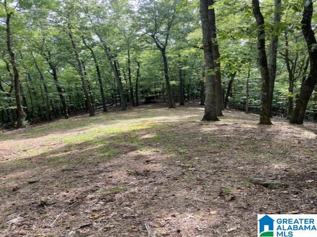 371 Signal Trail, Unit 7 Pelham, AL 35124 - Photo 6 of 6