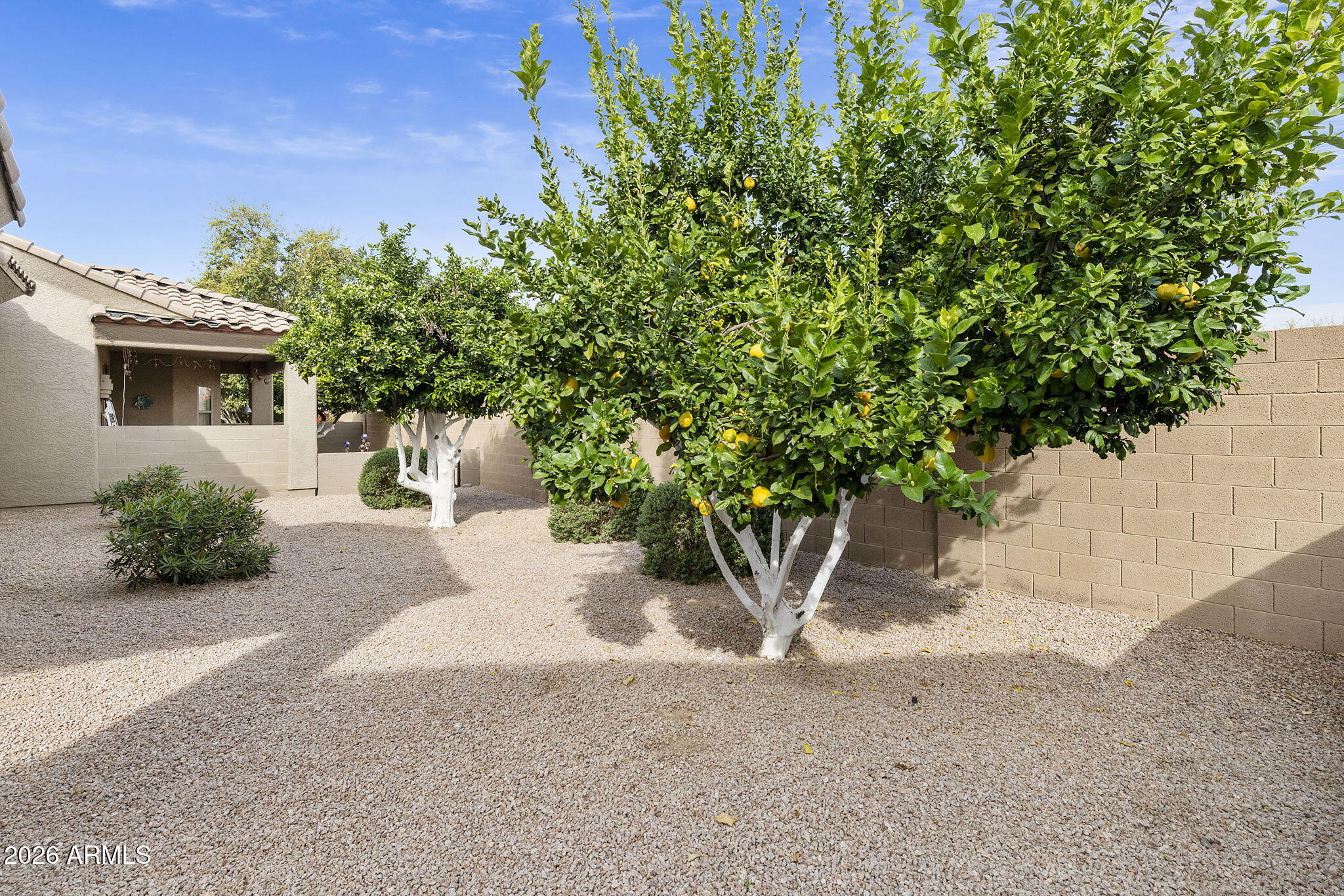 4202 East Broadway Road, Unit 50 Mesa, AZ 85206 - Photo 31 of 68 20-web-or-mls-DLB_8782