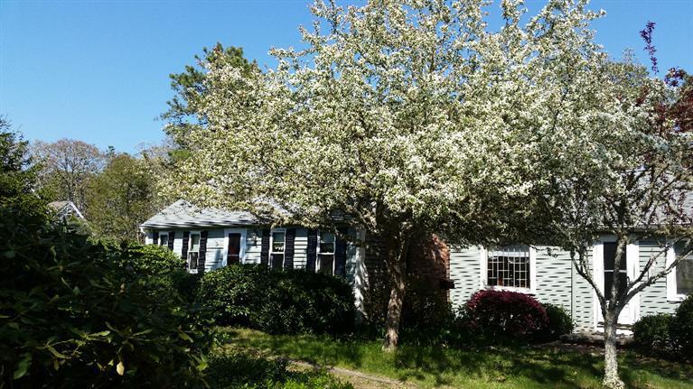 26 John Joseph Road Harwich, MA 02645 - Photo 3 of 18 Additional Photo