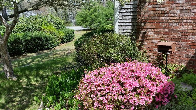 26 John Joseph Road Harwich, MA 02645 - Photo 4 of 18 Additional Photo