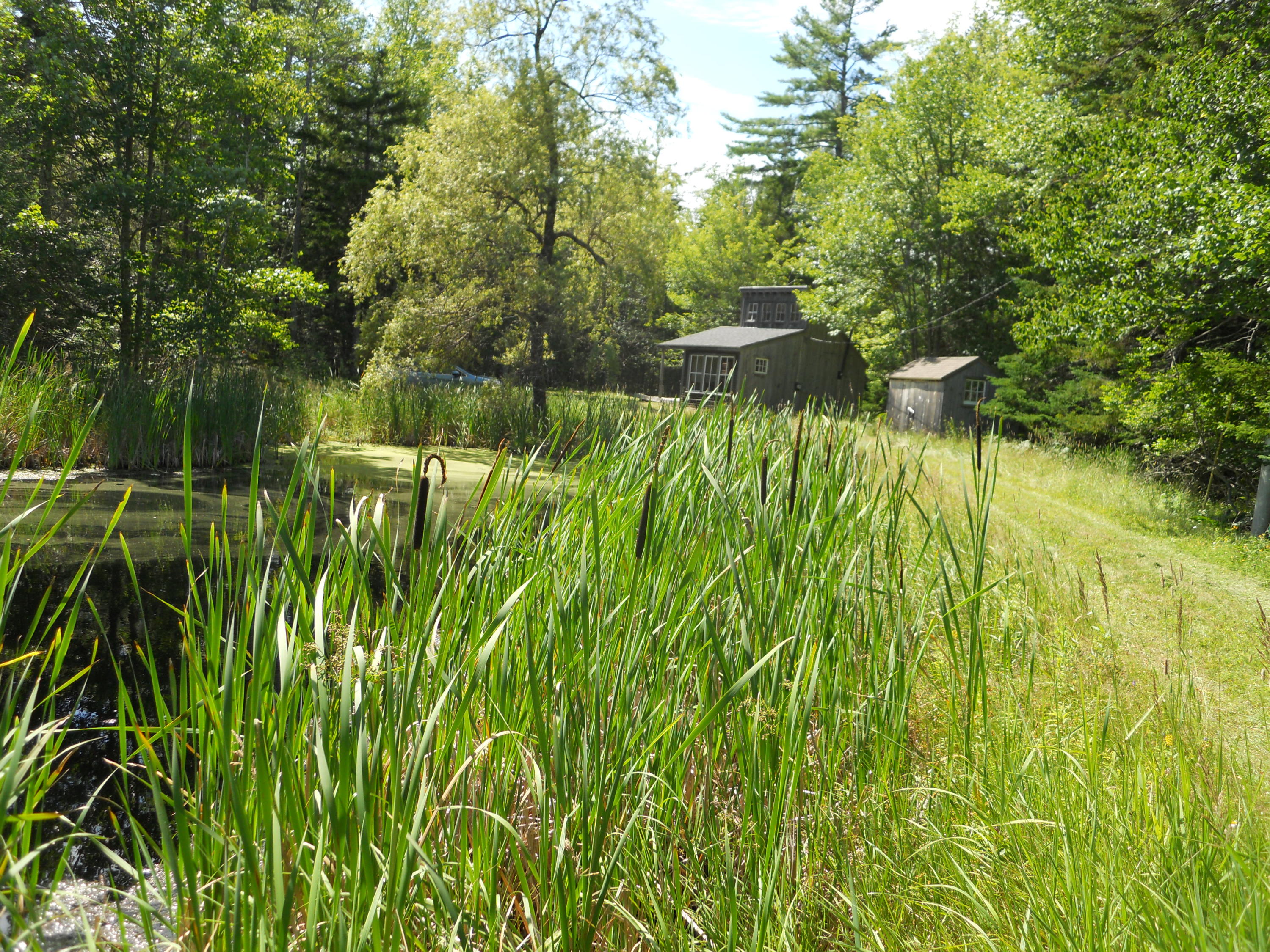 1174 Main Road Islesboro, ME 04848 - Photo 3 of 29 RendezvousDSCN0544