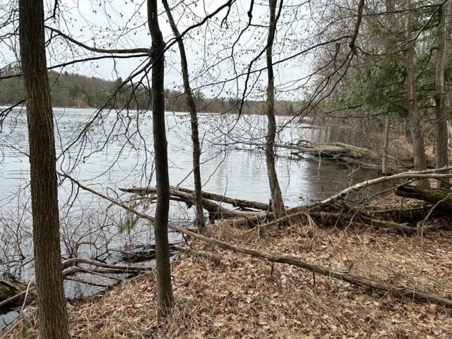 Reynolds Road, Unit LOT: B Lake Ann, MI 49650 - Photo 7 of 21