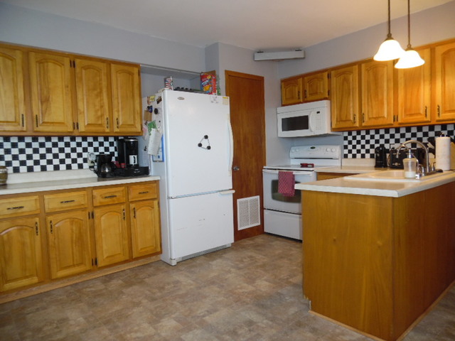 20661 Millard Road Morrison, IL 61270 - Photo 3 of 12