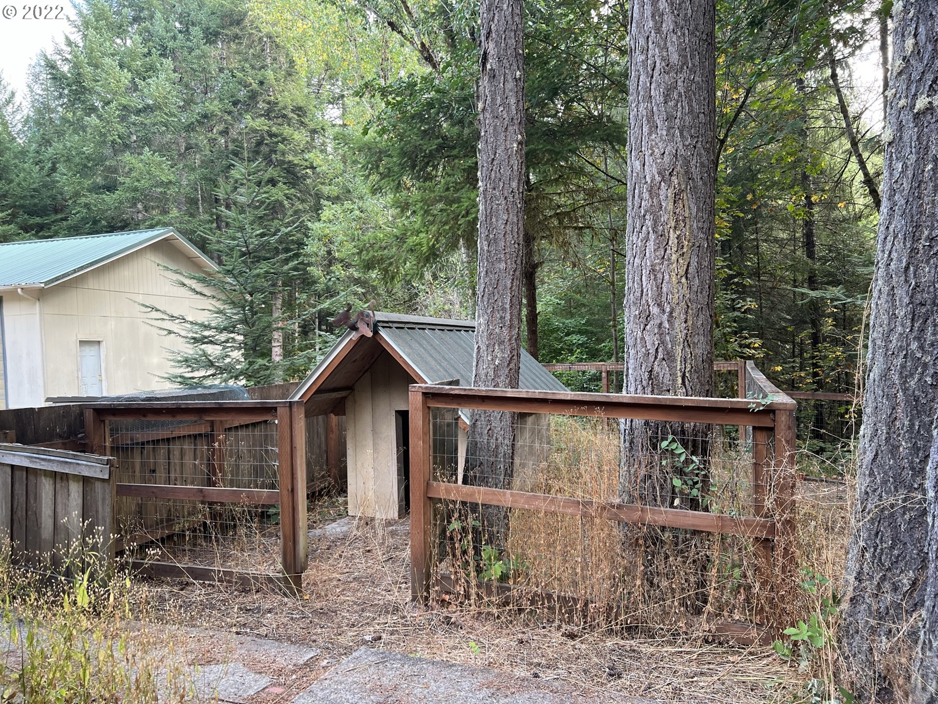 90421 Baker Road Elmira, OR 97437 - Photo 5 of 28 Dog Run