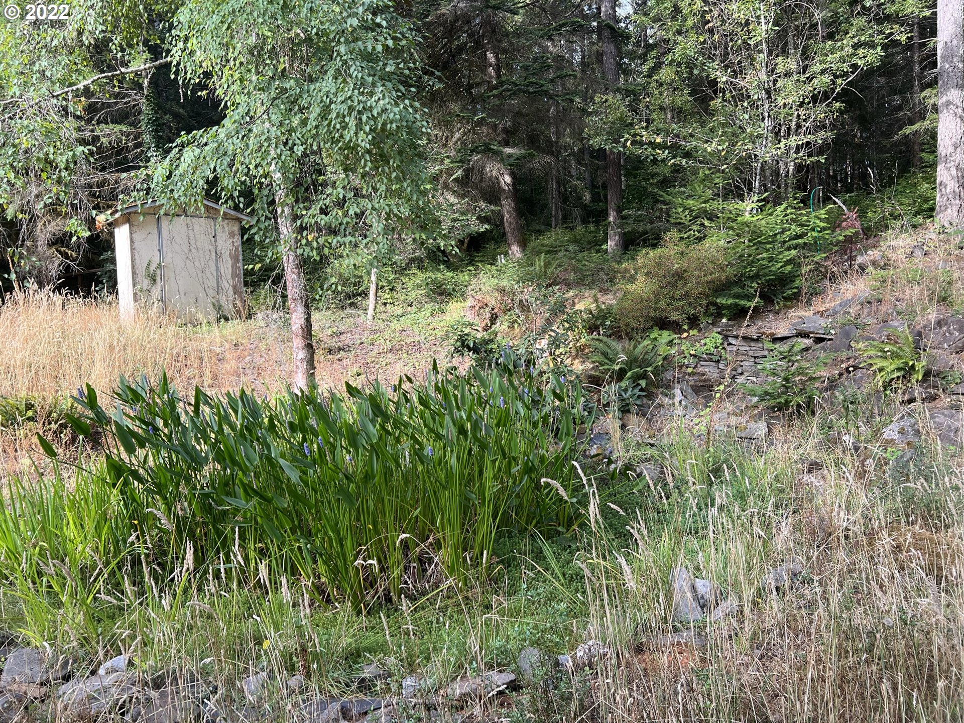 90421 Baker Road Elmira, OR 97437 - Photo 8 of 28 Pond