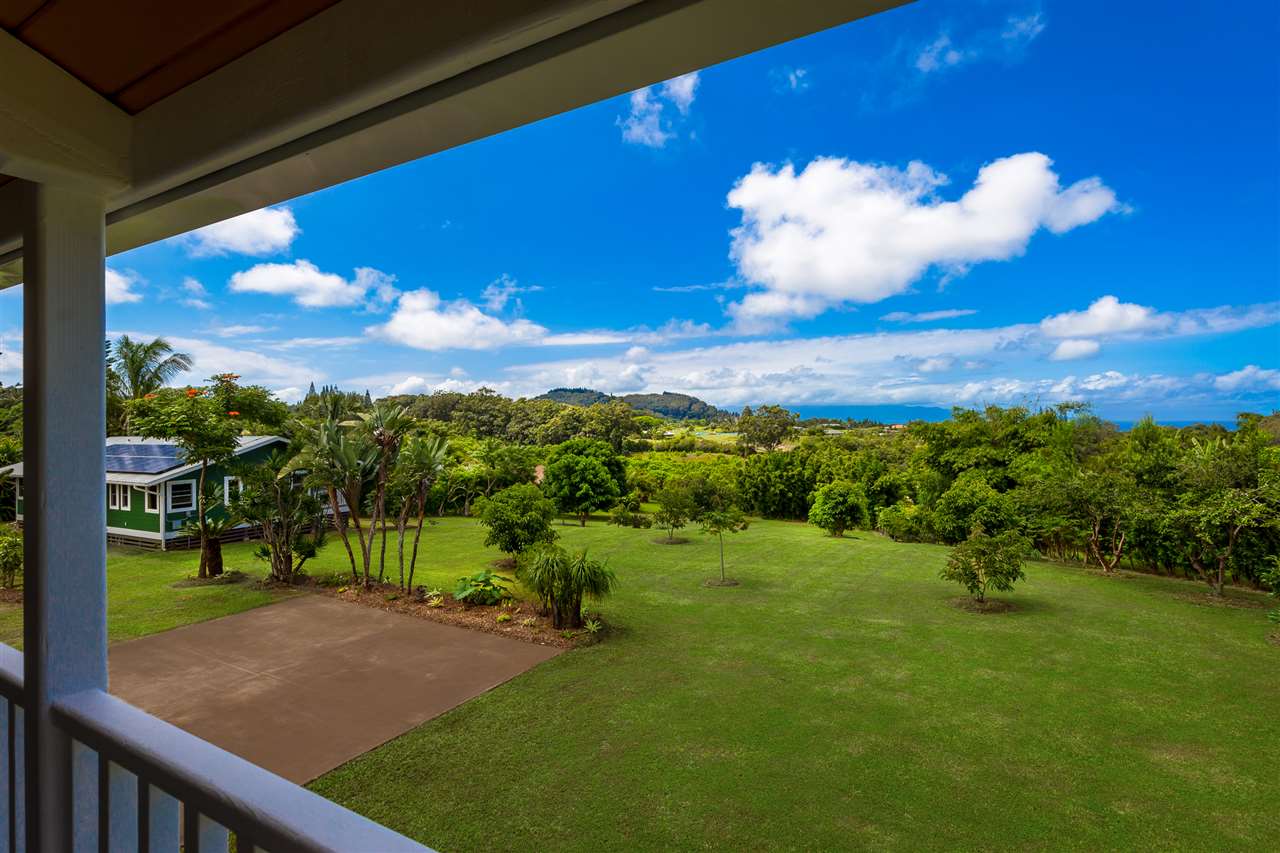890 East Kuiaha Road Haiku, HI 96708 - Photo 1 of 30 a view of a yard with a tree