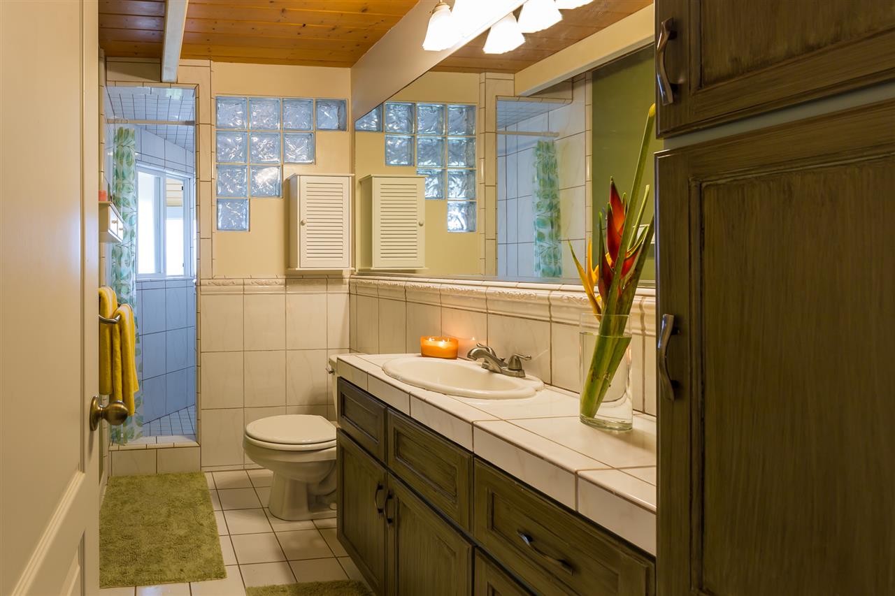 890 East Kuiaha Road Haiku, HI 96708 - Photo 23 of 30 a bathroom with a sink and a mirror