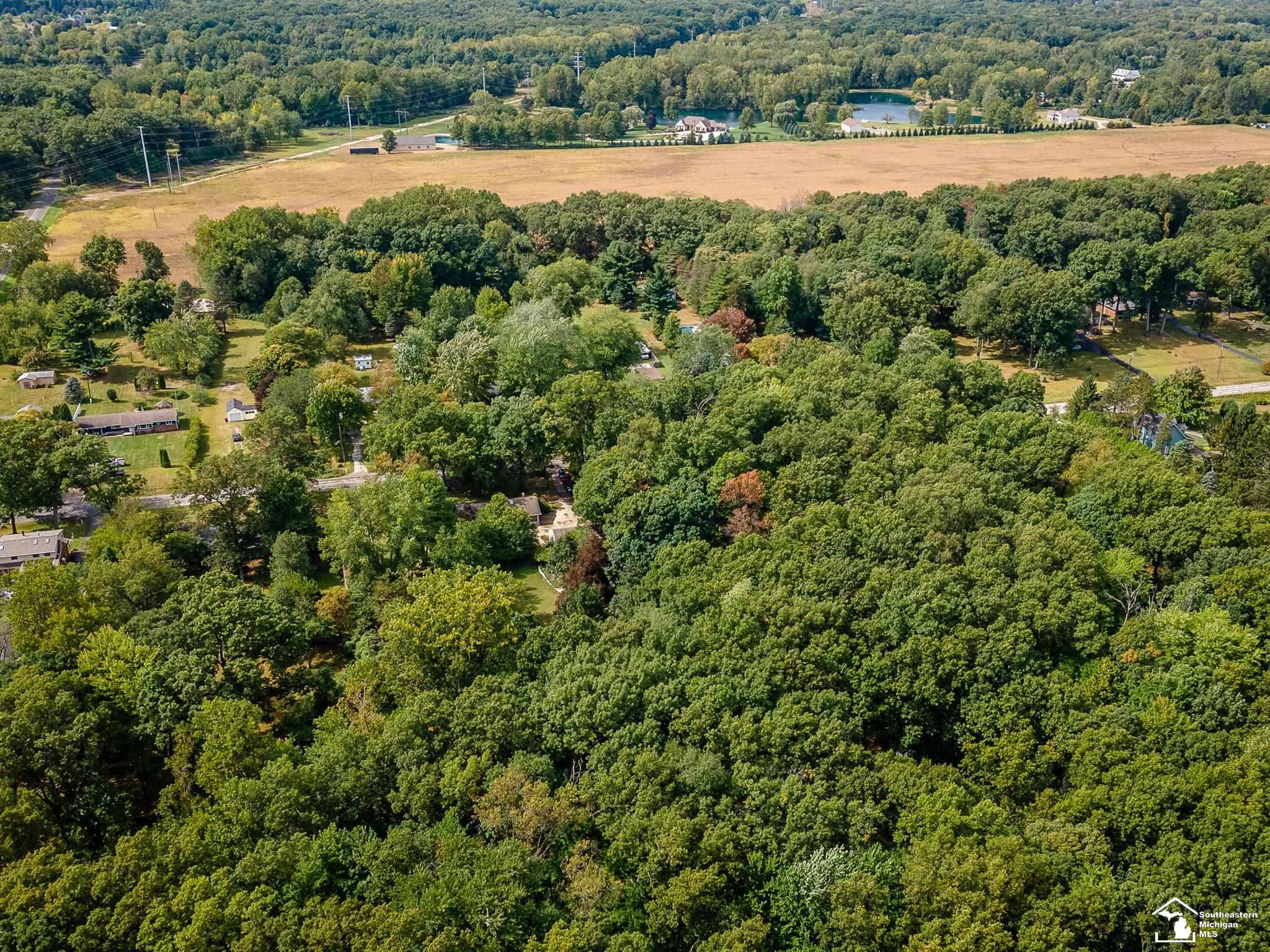 11050 Secor Road Temperance, MI 48182 - Photo 34 of 36