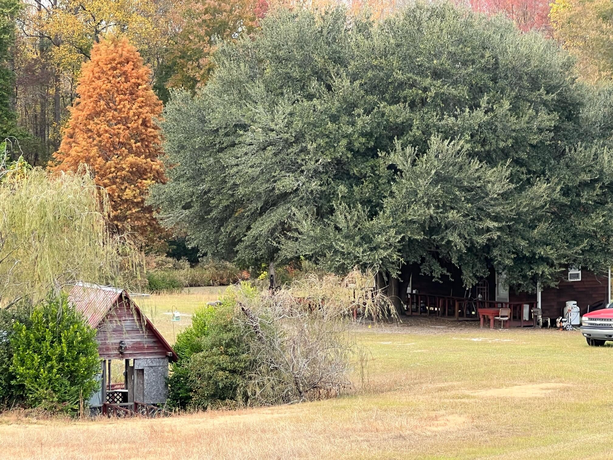 719 Redds Branch Road Aiken, SC 29801 - Photo 4 of 13