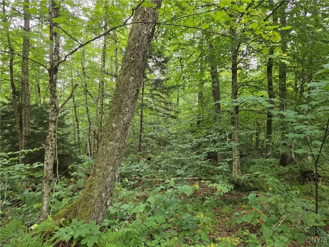 $24,900 | 0 William Ernst Road, West Leyden, NY 13489