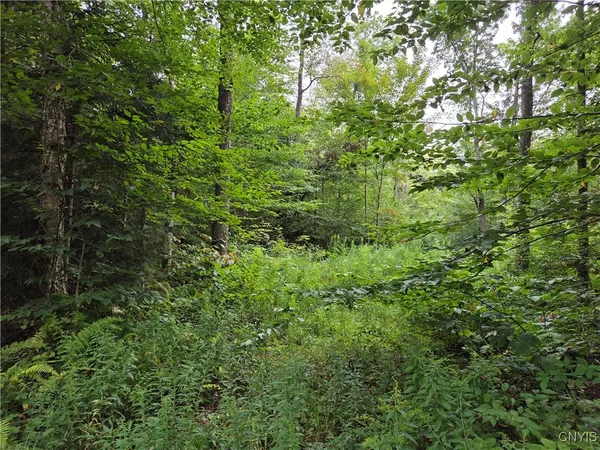 $24,900 | 0 William Ernst Road, West Leyden, NY 13489