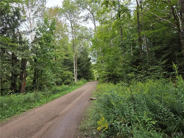 $24,900 | 0 William Ernst Road, West Leyden, NY 13489