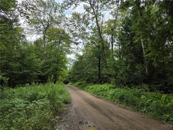 $24,900 | 0 William Ernst Road, West Leyden, NY 13489