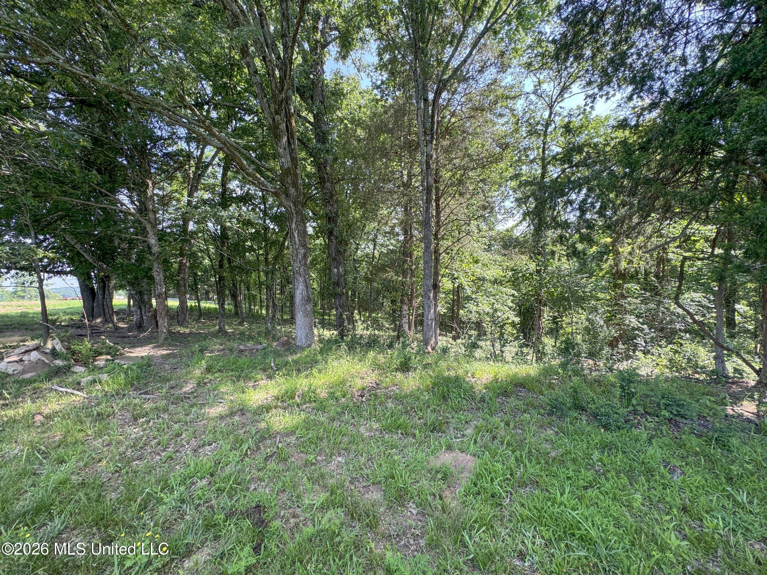 2169 Slocum Road Hernando, MS 38632 - Photo 82 of 94 8slcm44