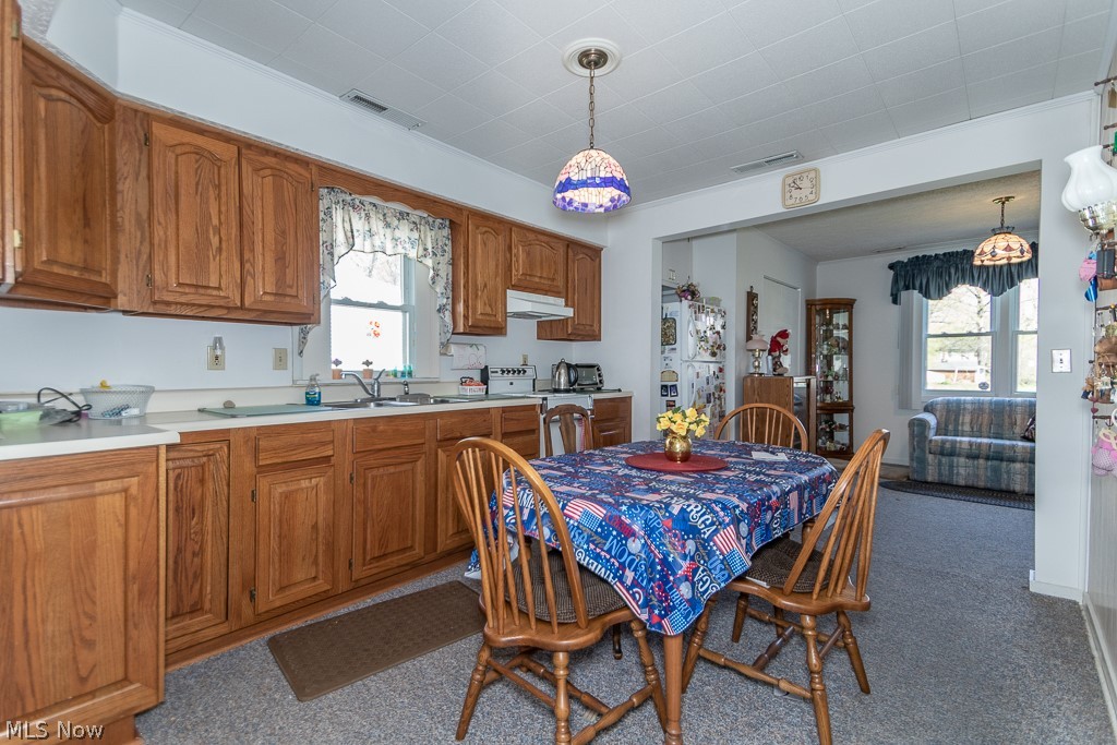 3887 Middle Ridge Road Perry, OH 44081 - Photo 10 of 26