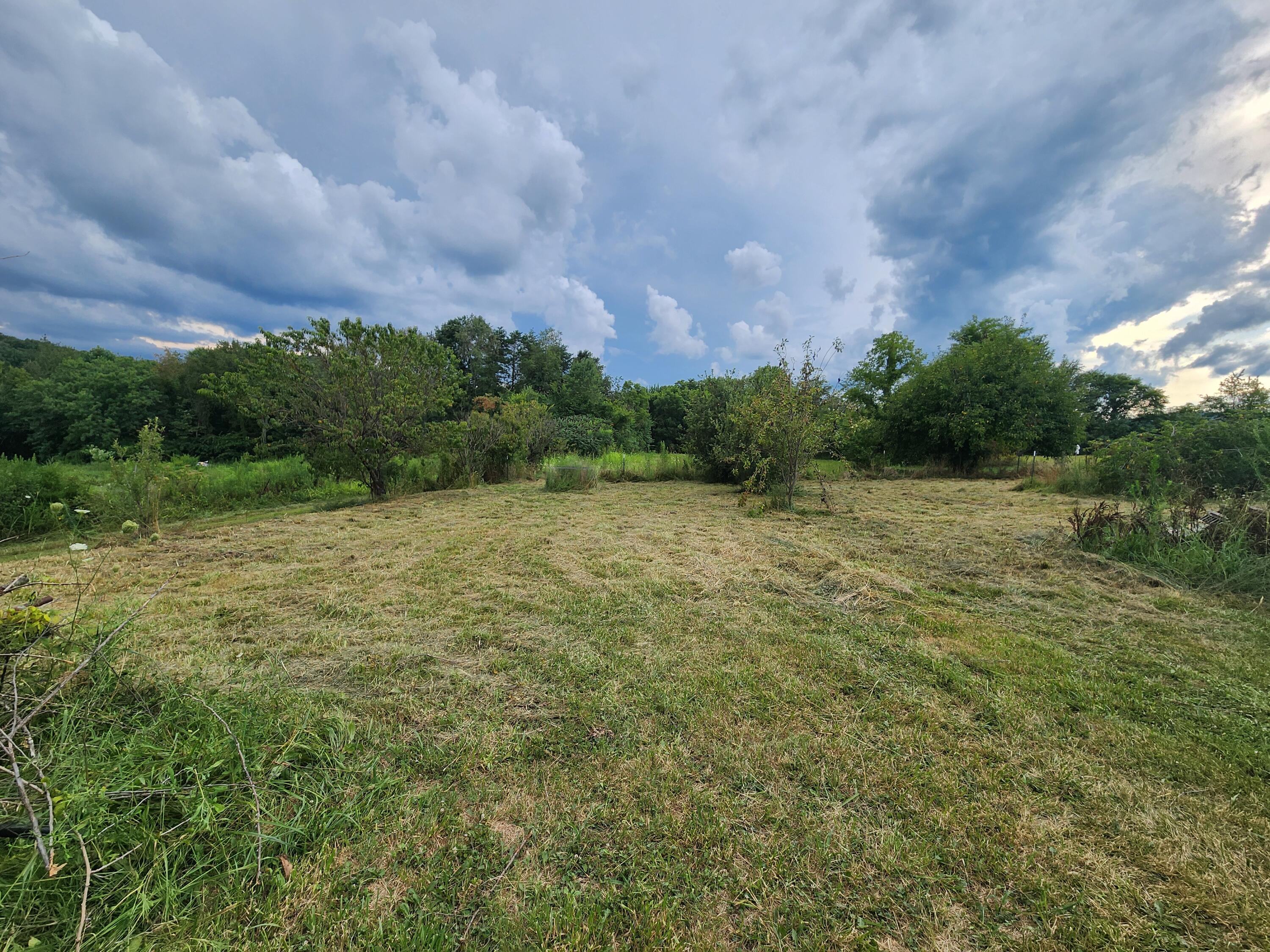 30 West Country Road Alpha, KY 42603 - Photo 9 of 29 Back