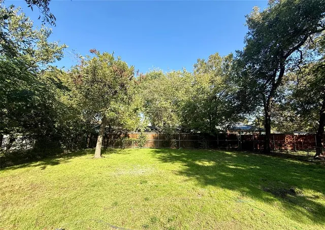a view of a tree in a yard
