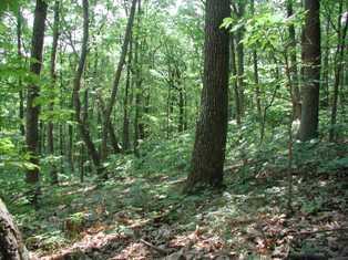 0 Aps Knob Road New Castle, VA 24127 - Photo 5 of 6 photo