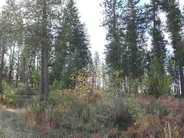 0 Sands Colbert, WA 99005 - Photo 3 of 5