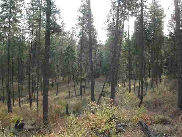 0 Sands Colbert, WA 99005 - Photo 4 of 5