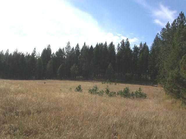 0 Sands Colbert, WA 99005 - Photo 5 of 5