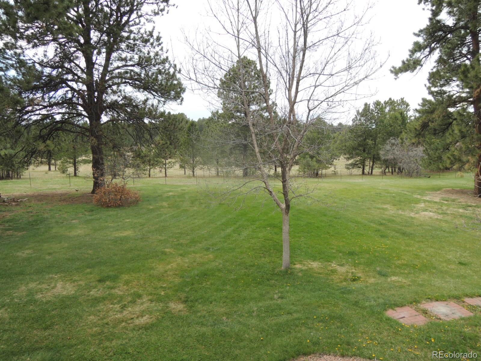 36670 View Ridge Drive Elizabeth, CO 80107 - Photo 22 of 35 Gallery Image 22