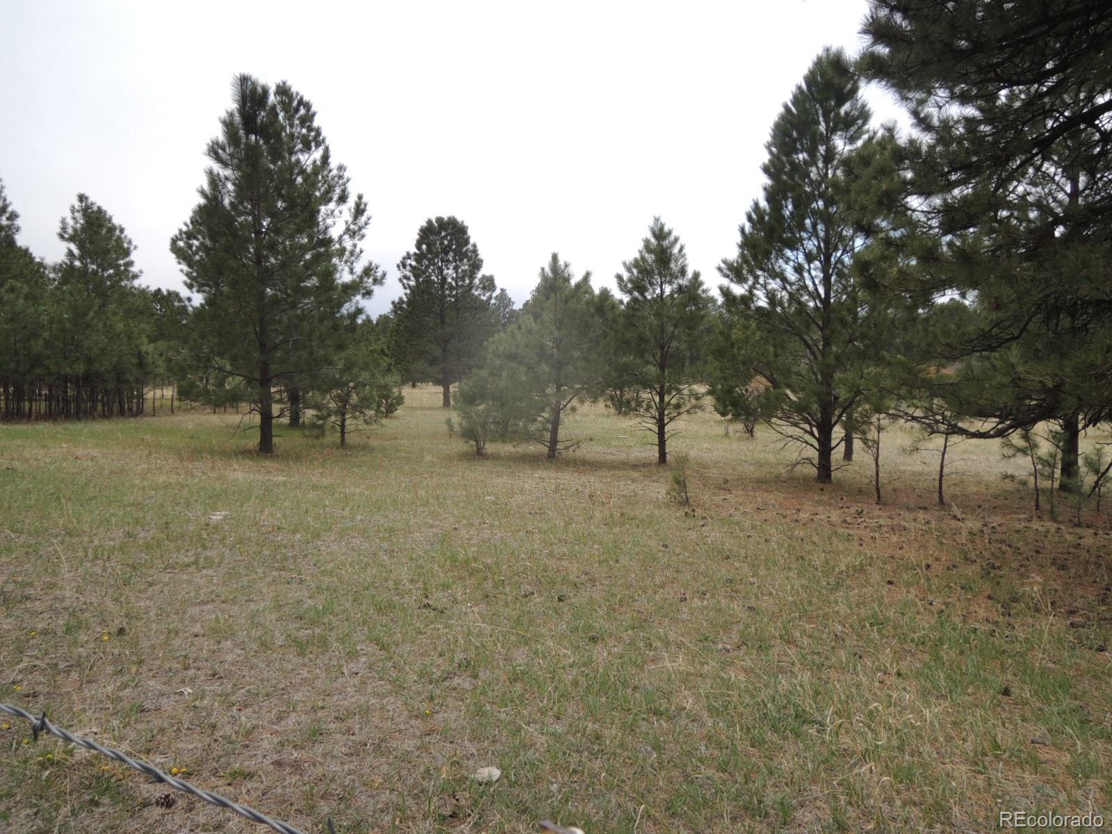 36670 View Ridge Drive Elizabeth, CO 80107 - Photo 8 of 35 Gallery Image 8
