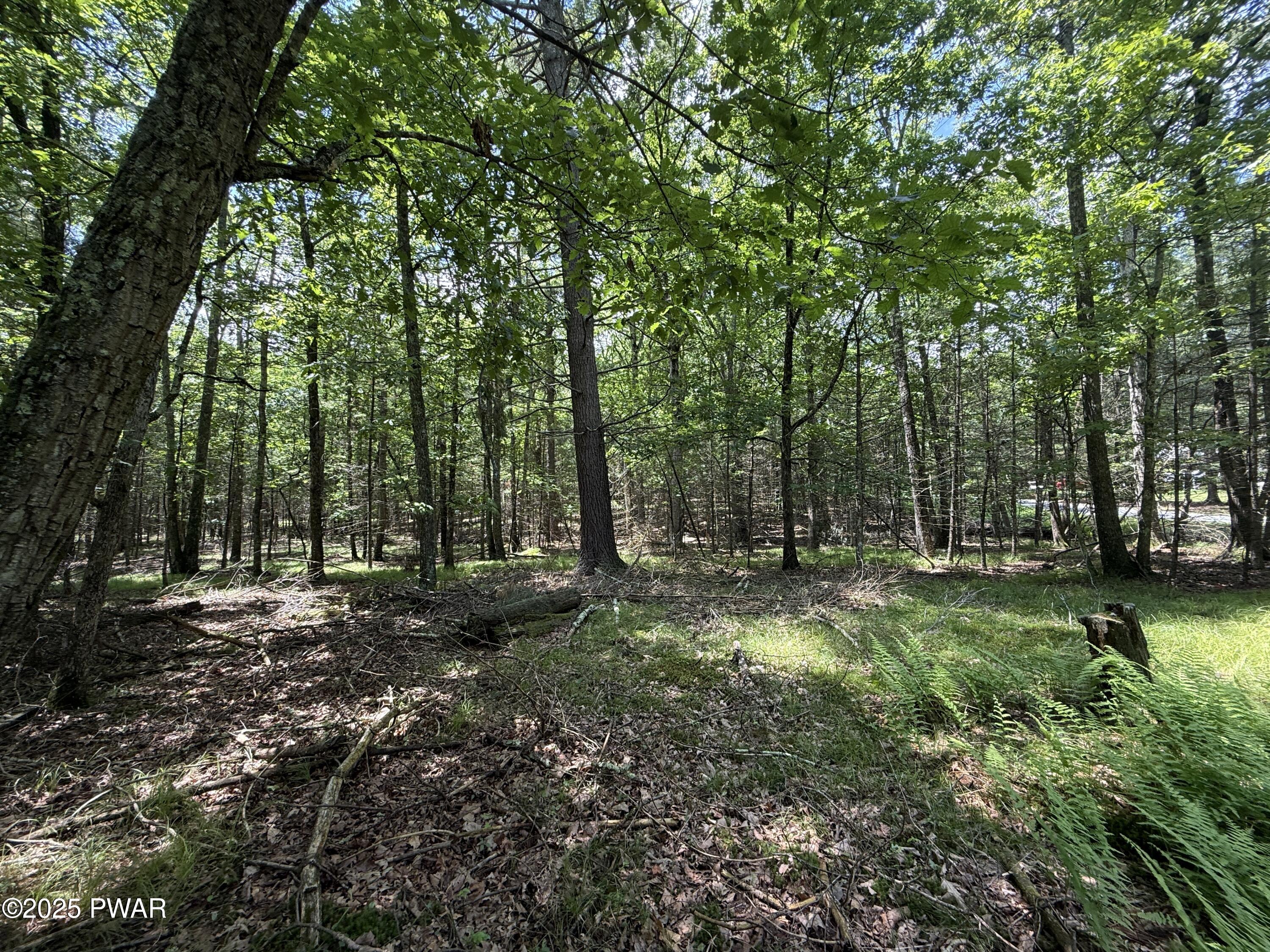 497 Timber Ridge Drive Hawley, PA 18428 - Photo 14 of 15