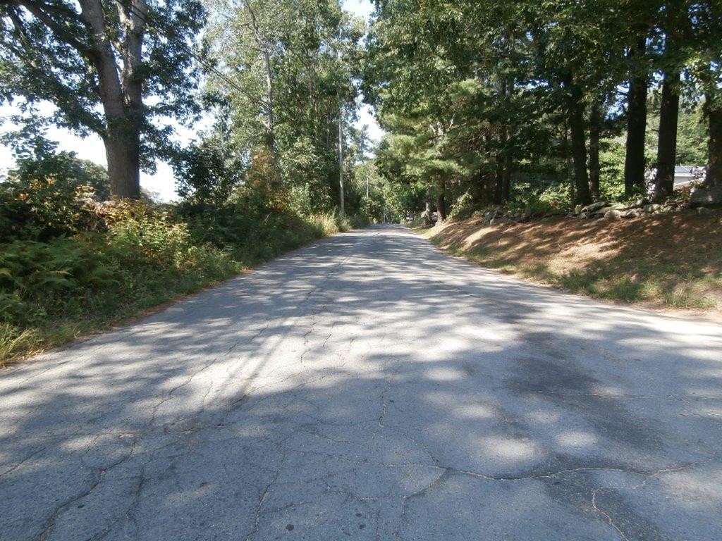 250 Hardwick Road Barre, MA 01005 - Photo 29 of 30 a view of a yard with a tree