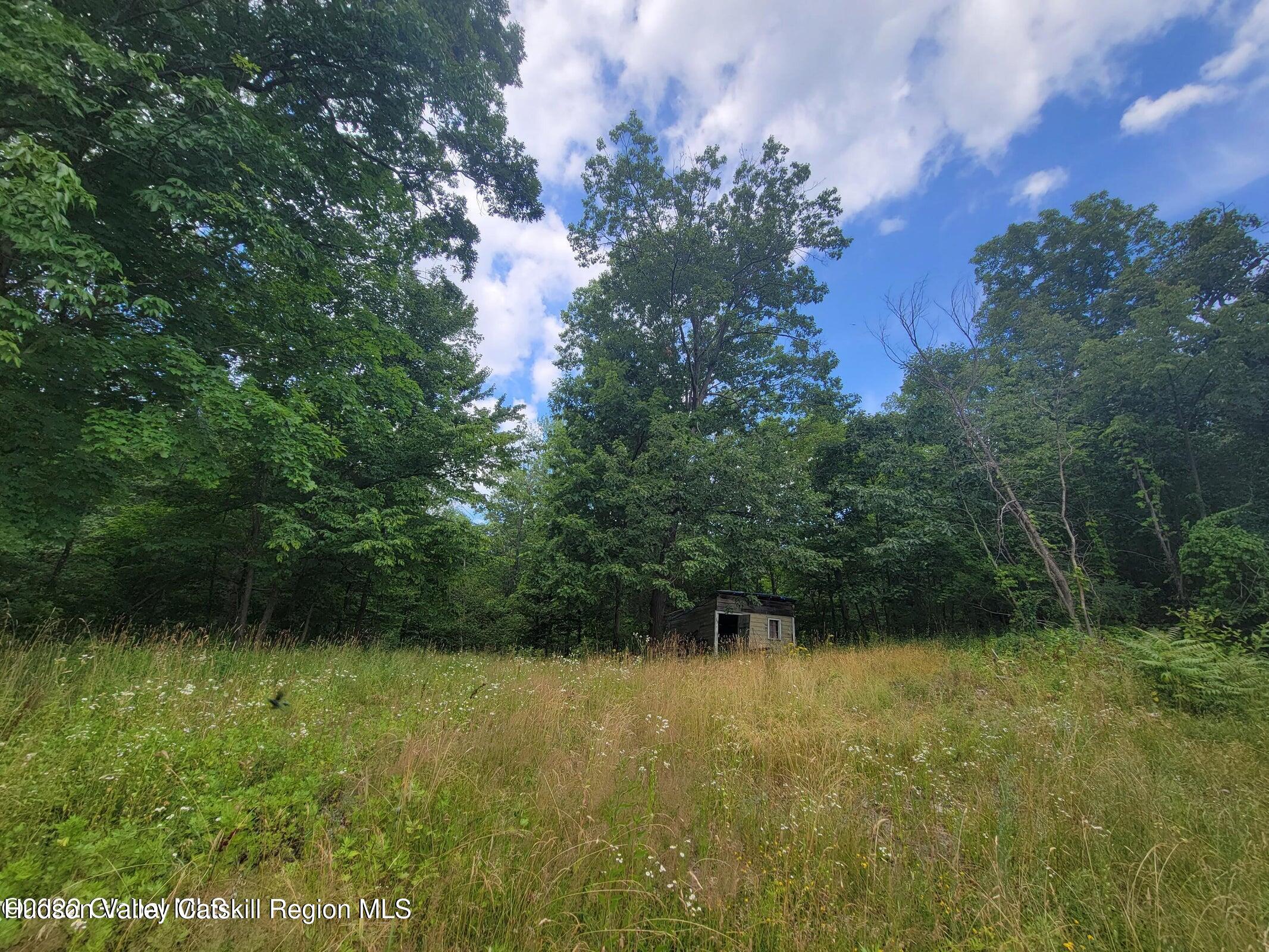 9071 Rte 9W Athens, NY 12015 - Photo 14 of 26 a view of outdoor space and yard