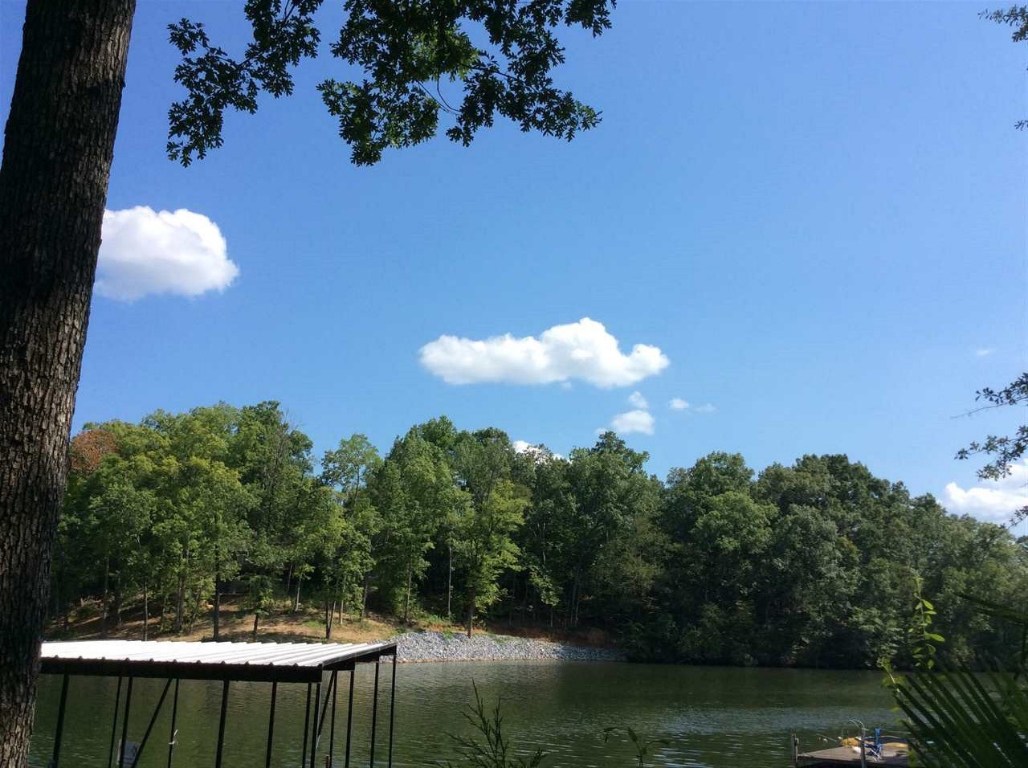 317 Stokes Hollow Road Iva, SC 29655 - Photo 23 of 23 Gallery Image 23