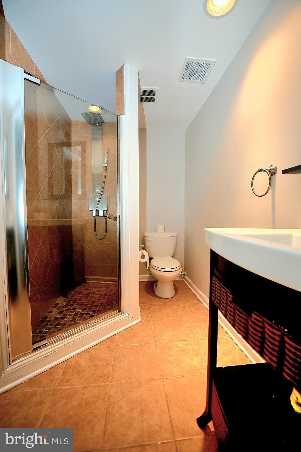8487 Imperial Drive, Unit 6E Laurel, MD 20708 - Photo 19 of 21 Lower Level Full Bath w/ Designer Shower