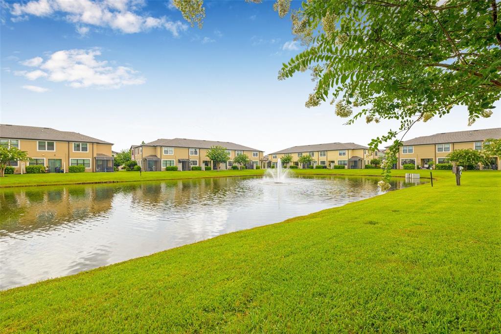 9237 Fox Sparrow Road Tampa, FL 33626 - Photo 22 of 24