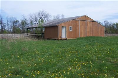 13995 4 Mile Road Northeast Lowell, MI 49331 - Photo 3 of 6 Additional Photo