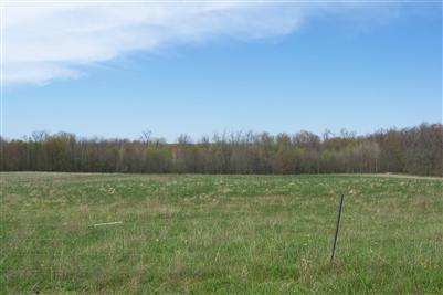 13995 4 Mile Road Northeast Lowell, MI 49331 - Photo 4 of 6 Additional Photo