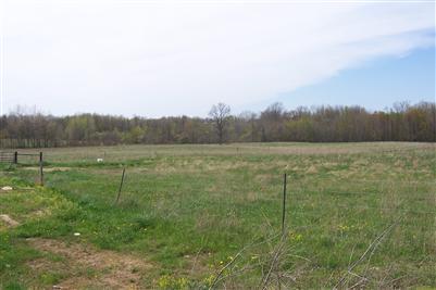 13995 4 Mile Road Northeast Lowell, MI 49331 - Photo 5 of 6 Additional Photo