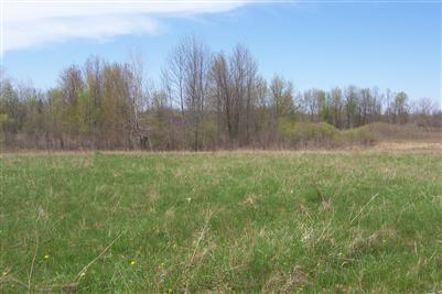 13995 4 Mile Road Northeast Lowell, MI 49331 - Photo 6 of 6 Additional Photo