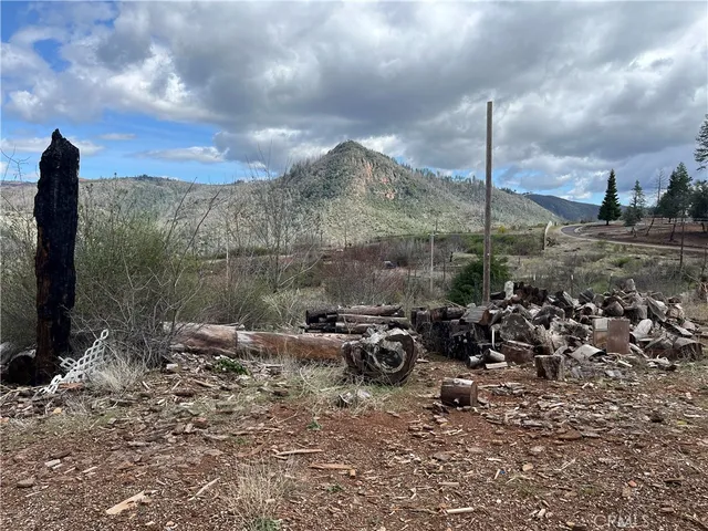a view of a yard with trees