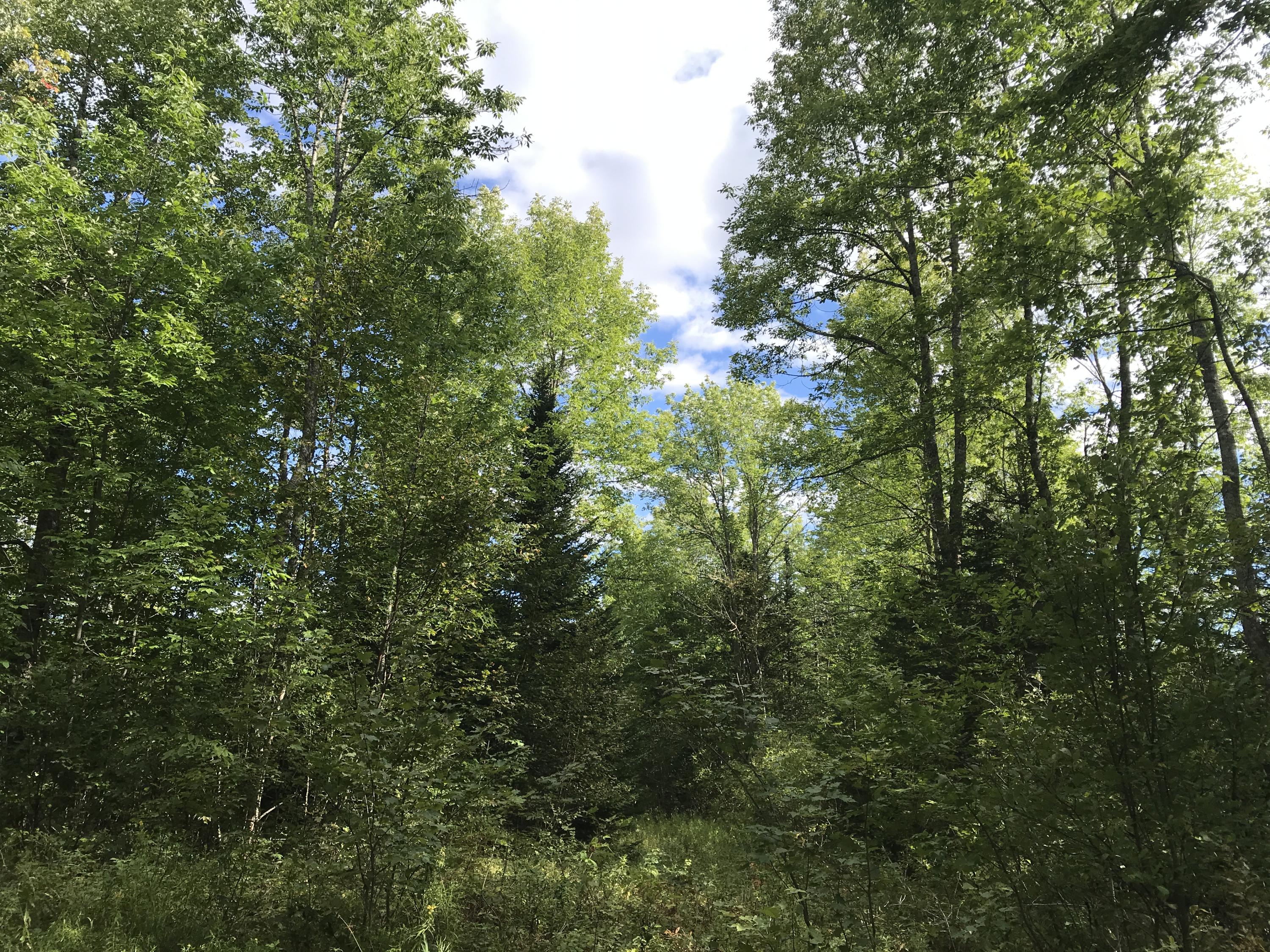 15-16 Ridge Road Robbinston, ME 04671 - Photo 11 of 31 IMG_3167